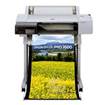 Epson Stylus Pro 7600 24 tum poster papper